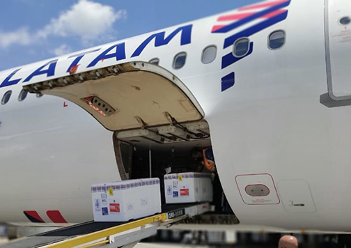 Avião Solidário transporta refeições para vítimas das chuvas no litoral paulista