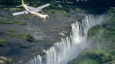 Mack Air: conheça a frota e as operações da empresa aérea líder do Delta do Okavango