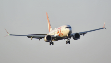 PS-GPR: Gol recebe mais um 737 MAX