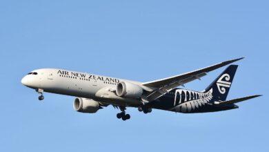 Mercado Nova Zelândia-América do Sul pressiona por mais voos